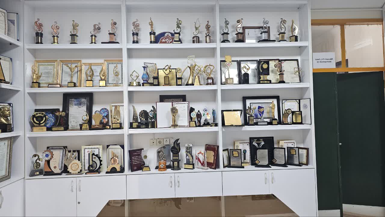 نمونه کار بزرگمهر